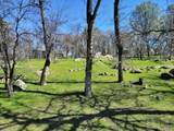 14359 Knobcone Drive - Photo 7