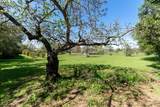 6600 Rosa Prado Court - Photo 3