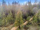 16841 Patterson Mine Road - Photo 11