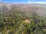 16841 Patterson Mine Road - Photo 12