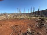10130 Grizzly Flat Road - Photo 1