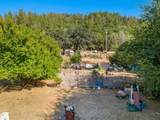 16125 Vierra Road - Photo 8