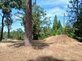 20295 Shake Ridge Road - Photo 3