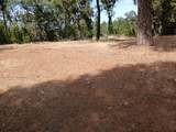 20295 Shake Ridge Road - Photo 4