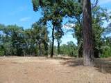 20295 Shake Ridge Road - Photo 5