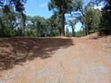 20295 Shake Ridge Road - Photo 6