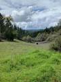 17242 River Ranch Road - Photo 2