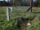0 Homestead  Road - Photo 8