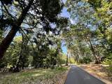 13117 Madrone Forest Drive - Photo 1