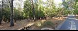 13117 Madrone Forest Drive - Photo 12