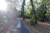 13117 Madrone Forest Drive - Photo 15