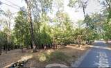 13117 Madrone Forest Drive - Photo 16