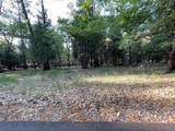 13117 Madrone Forest Drive - Photo 2