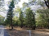 13117 Madrone Forest Drive - Photo 3