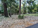 13117 Madrone Forest Drive - Photo 6