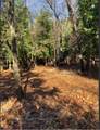 13117 Madrone Forest Drive - Photo 7