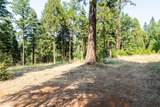 13518 Quaker Hill Cross Road - Photo 11