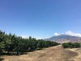 0 Bear Mountain Boulevard - Photo 1