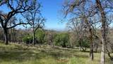 24343 Big Spring Drive - Photo 83