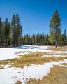 10228 Modane Place - Photo 41