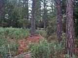 20550 Grizzly Creek Road - Photo 11