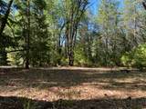 12595 Blackberry Trail - Photo 1