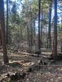 1600 Bear Foot Road - Photo 1