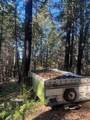 1600 Bear Foot Road - Photo 3