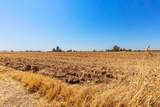 0 Harrington Avenue - Photo 28