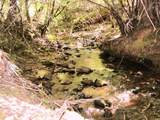 46 Ringtail Road - Photo 4