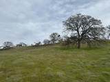 10171 Jalapa Way - Photo 7