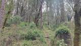 3291 Stage Trail Road - Photo 10