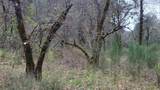 3291 Stage Trail Road - Photo 11