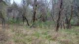 3291 Stage Trail Road - Photo 13