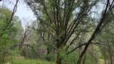 3291 Stage Trail Road - Photo 14
