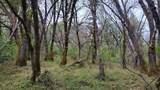3291 Stage Trail Road - Photo 17