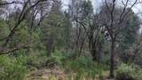 3291 Stage Trail Road - Photo 18