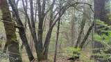 3291 Stage Trail Road - Photo 19