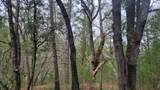 3291 Stage Trail Road - Photo 20