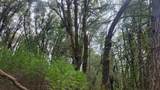 3291 Stage Trail Road - Photo 21