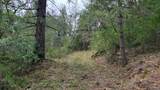 3291 Stage Trail Road - Photo 4