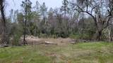 3291 Stage Trail Road - Photo 5