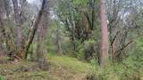 3291 Stage Trail Road - Photo 6