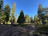 27782 Holiday Lane - Photo 11