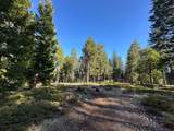 27782 Holiday Lane - Photo 12