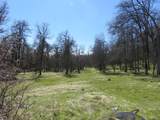 4196 Bald Mountain Road - Photo 19