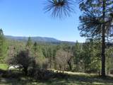 4196 Bald Mountain Road - Photo 23