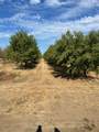 4261 Clausen Road - Photo 3