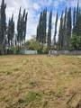 904 Yolo Street - Photo 2