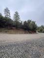 0 Jackass Ridge Rd - Photo 10